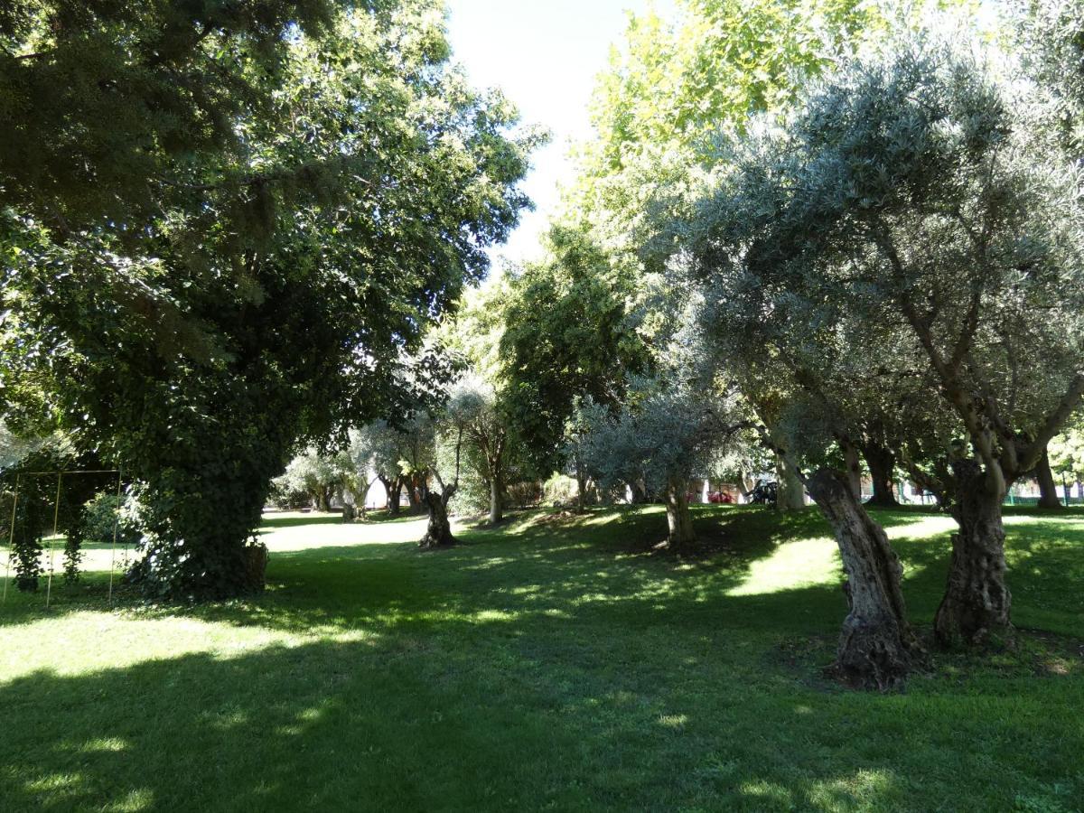Hotel Los Olivos Getafe Zewnętrze zdjęcie