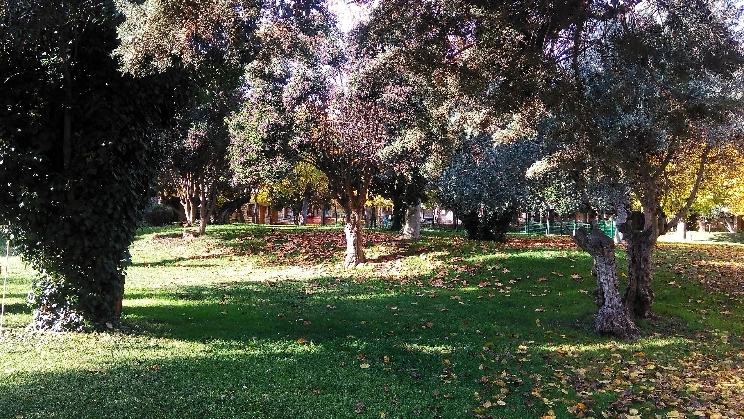 Hotel Los Olivos Getafe Zewnętrze zdjęcie