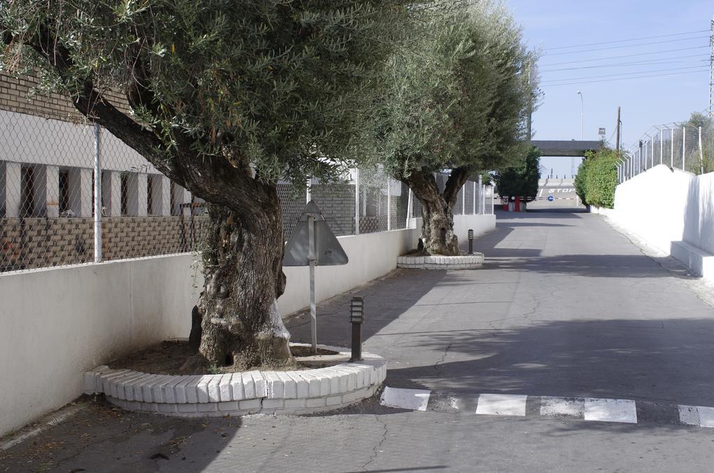 Hotel Los Olivos Getafe Zewnętrze zdjęcie