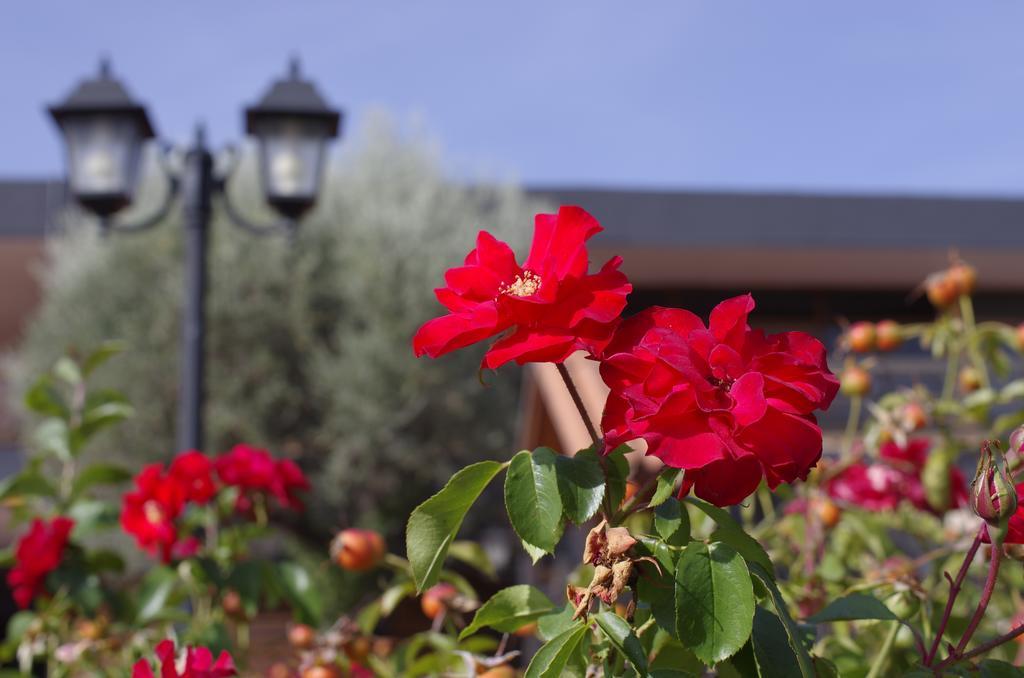 Hotel Los Olivos Getafe Zewnętrze zdjęcie